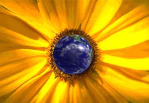 the sweet smell of vegetable sex